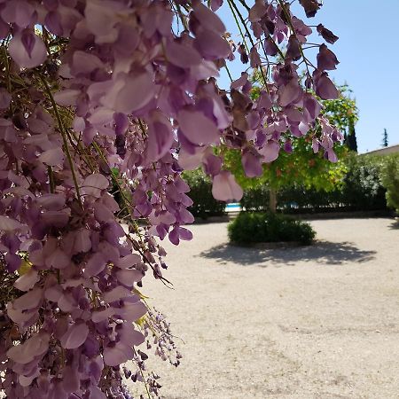 La Pastorale Bed & Breakfast Lagnes Exterior photo